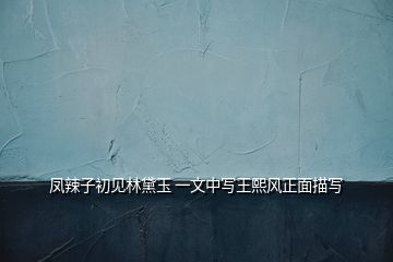 鳳辣子初見林黛玉 一文中寫王熙風(fēng)正面描寫