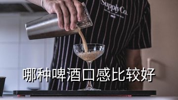 哪種啤酒口感比較好