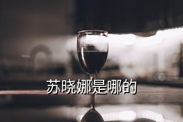 蘇曉娜是哪的