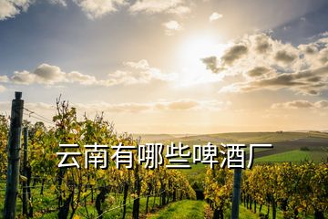 云南有哪些啤酒廠