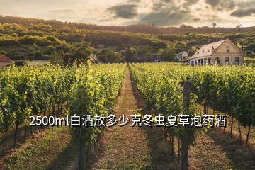 2500ml白酒放多少克冬蟲夏草泡藥酒