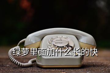 綠蘿里面加什么長(zhǎng)的快