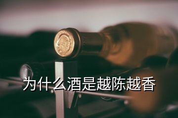 為什么酒是越陳越香