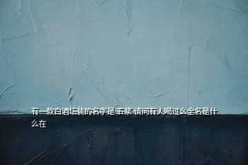 有一款白酒壇裝的名字是 五漿 請(qǐng)問有人喝過么全名是什么在