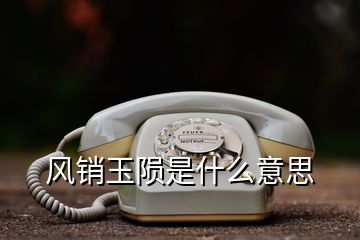 風(fēng)銷玉隕是什么意思