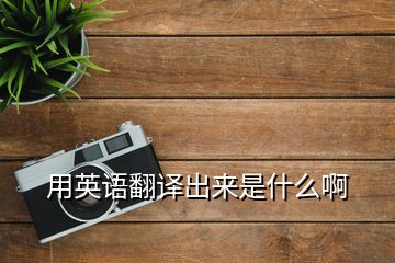 用英語翻譯出來是什么啊