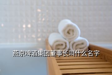 燕京啤酒集團董事長叫什么名字