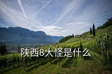 陜西8大怪是什么