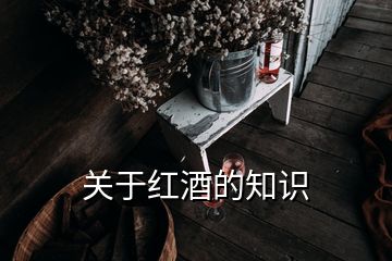 關(guān)于紅酒的知識