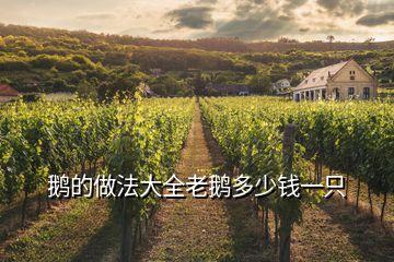 鵝的做法大全老鵝多少錢(qián)一只