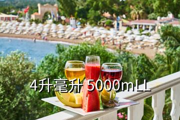 4升毫升 5000mLL