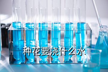 種花要澆什么水