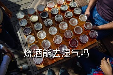 燒酒能去濕氣嗎