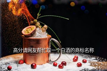 高分請網(wǎng)友幫忙取一個白酒的商標(biāo)名稱