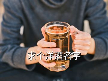 求個洋酒名字