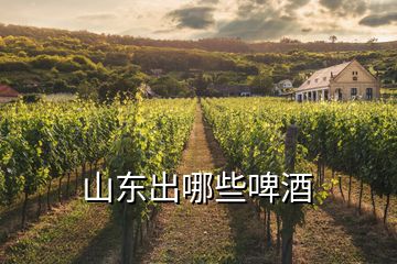 山東出哪些啤酒