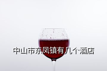 中山市東鳳鎮(zhèn)有幾個(gè)酒店