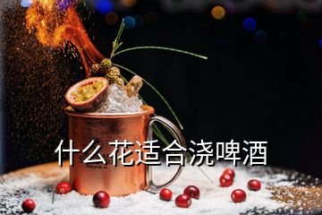 什么花適合澆啤酒