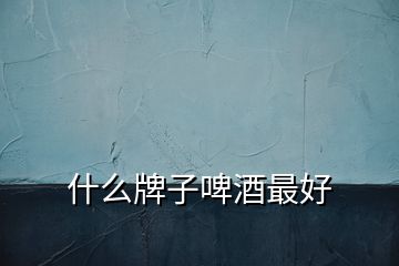 什么牌子啤酒最好