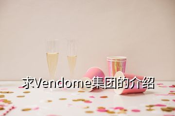 求Vendome集團(tuán)的介紹