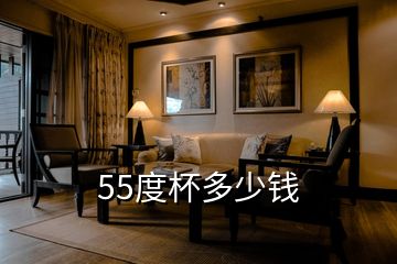 55度杯多少錢