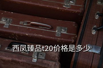 西鳳臻品t20價(jià)格是多少