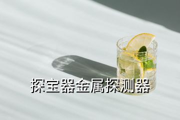 探寶器金屬探測器