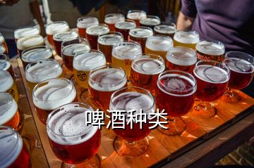 啤酒種類(lèi)