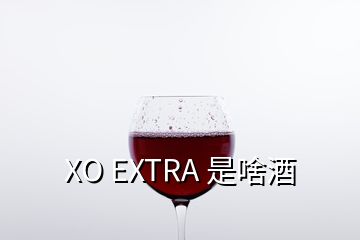 XO EXTRA 是啥酒