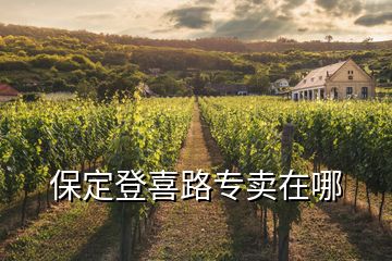 保定登喜路專賣在哪