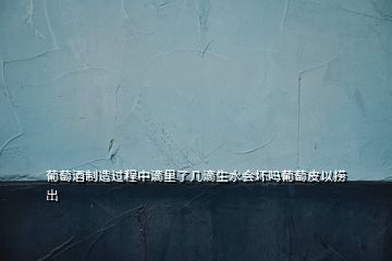 葡萄酒制造過程中滴里了幾滴生水會壞嗎葡萄皮以撈出
