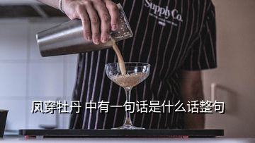 鳳穿牡丹 中有一句話是什么話整句