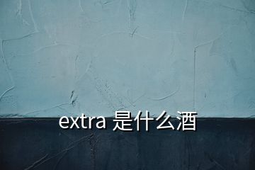 extra 是什么酒