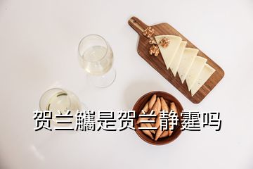 賀蘭觿是賀蘭靜霆嗎