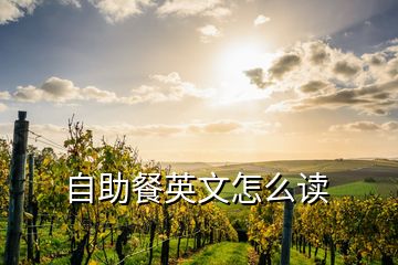 自助餐英文怎么讀