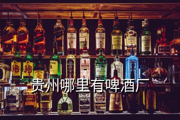 貴州哪里有啤酒廠