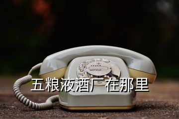 五糧液酒廠在那里