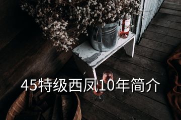 45特級(jí)西鳳10年簡(jiǎn)介