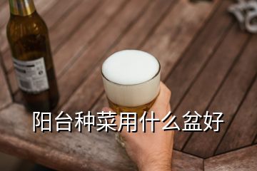 陽臺(tái)種菜用什么盆好