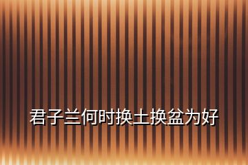 君子蘭何時換土換盆為好