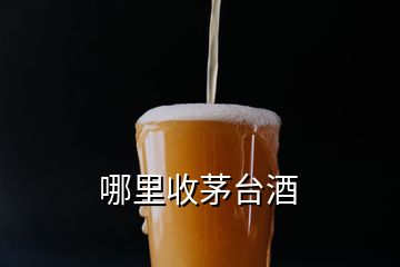 哪里收茅臺酒