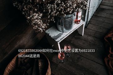 6921833862044如何在excel中把它設(shè)置為6921833 862044這是商