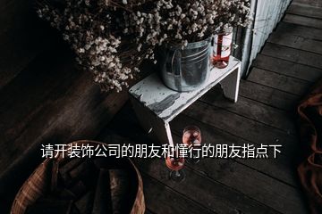 請開裝飾公司的朋友和懂行的朋友指點(diǎn)下