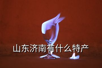 山東濟南有什么特產(chǎn)