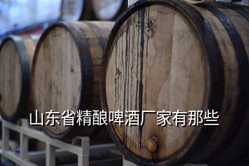 山東省精釀啤酒廠家有那些