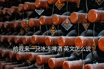 給我來一只冰凍啤酒 英文怎么說