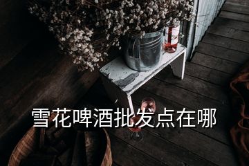 雪花啤酒批發(fā)點在哪