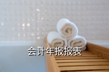 會(huì)計(jì)年報(bào)報(bào)表