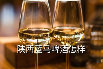 陜西藍馬啤酒怎樣