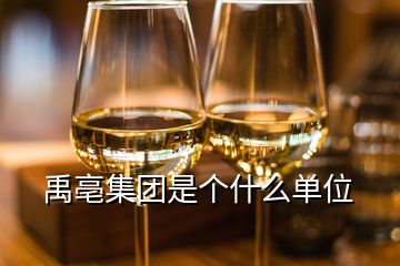 禹亳集團(tuán)是個什么單位